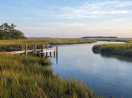 Coastal salt marsh in morning light Coastal salt marsh in morning light